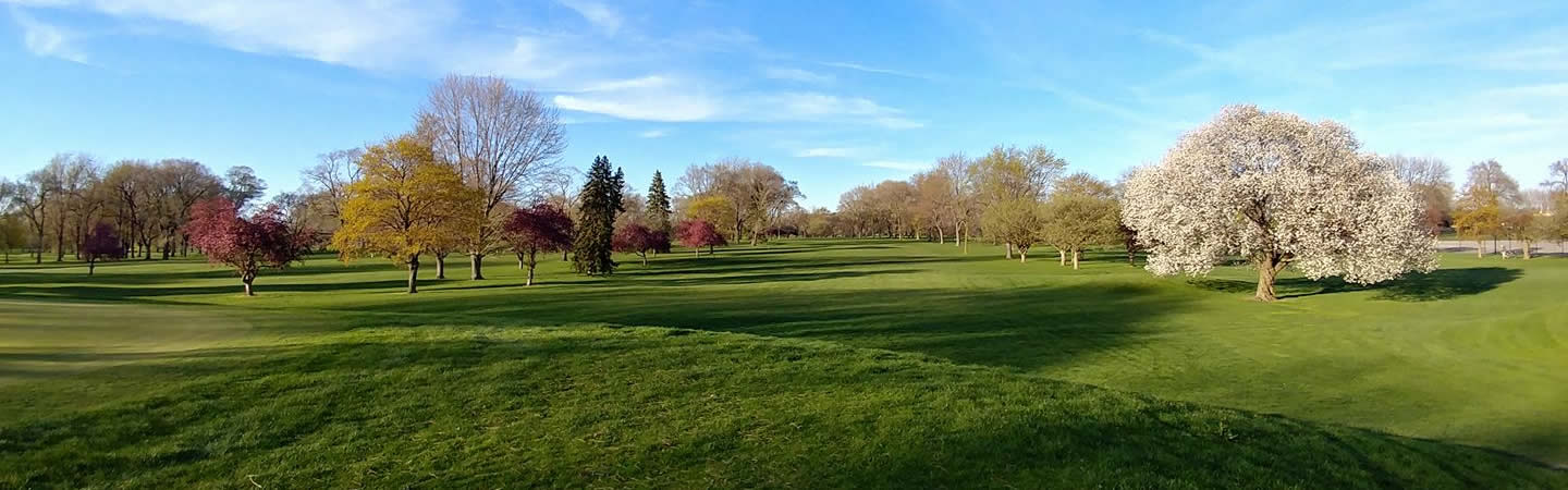 header maple lane golf course