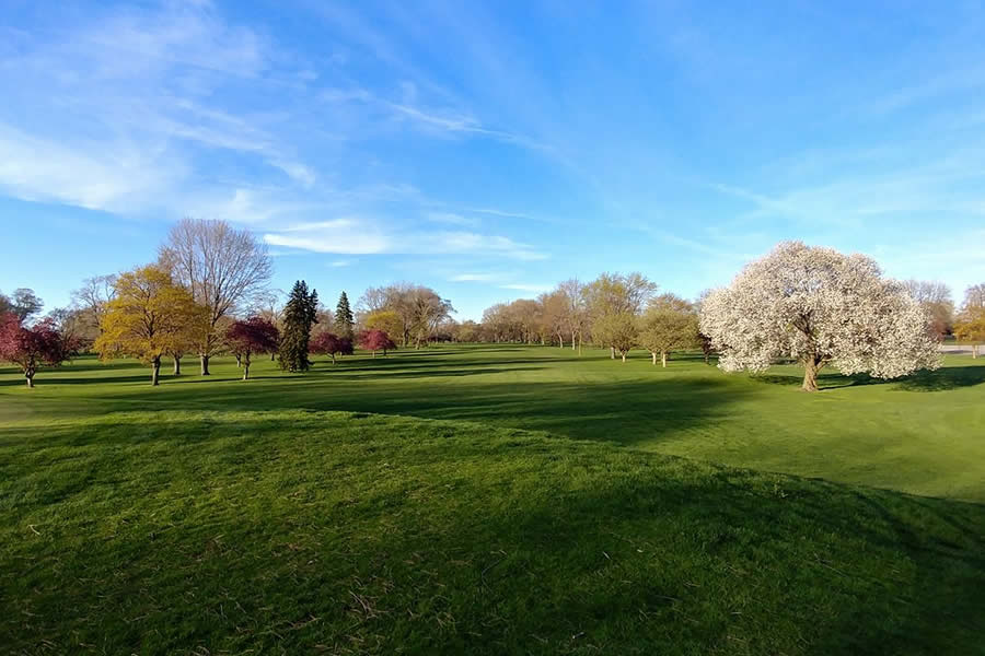 Golf Leagues